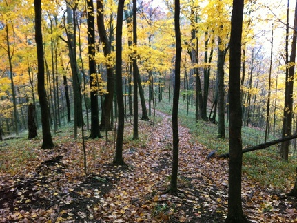 Sheltowee Trace, Clear Creek Furnace - 08